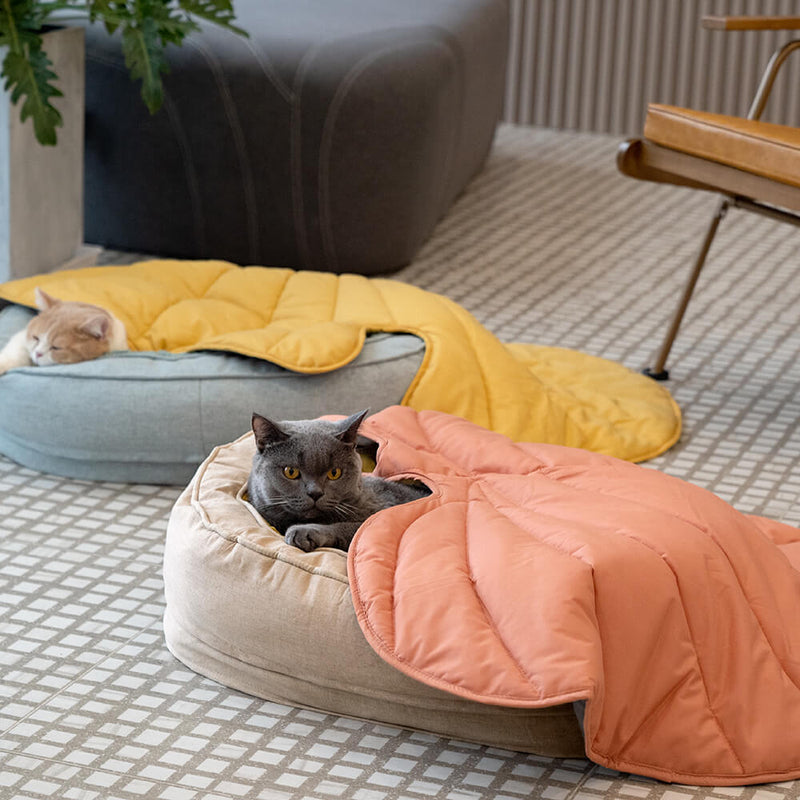 Cama Ortopédica para pet + 1 Brinde Incrível