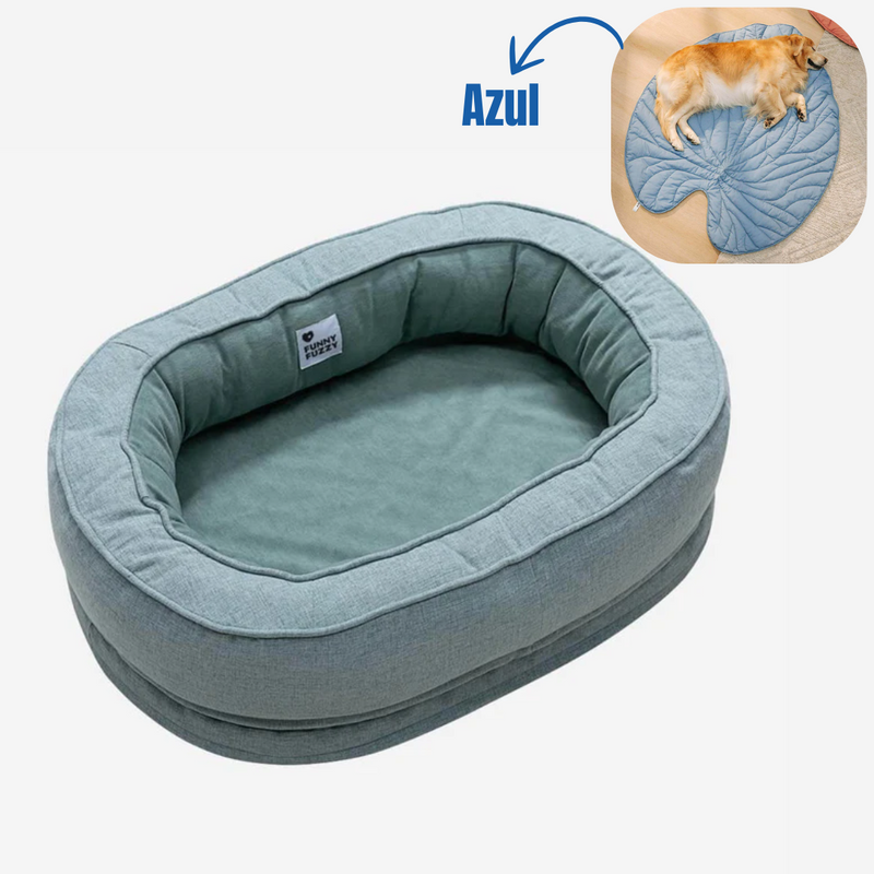 Cama Ortopédica para pet + 1 Brinde Incrível