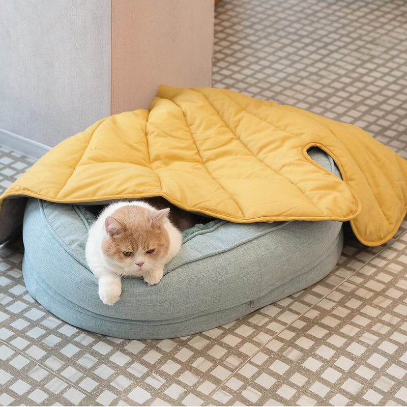 Cama Ortopédica para pet + 1 Brinde Incrível