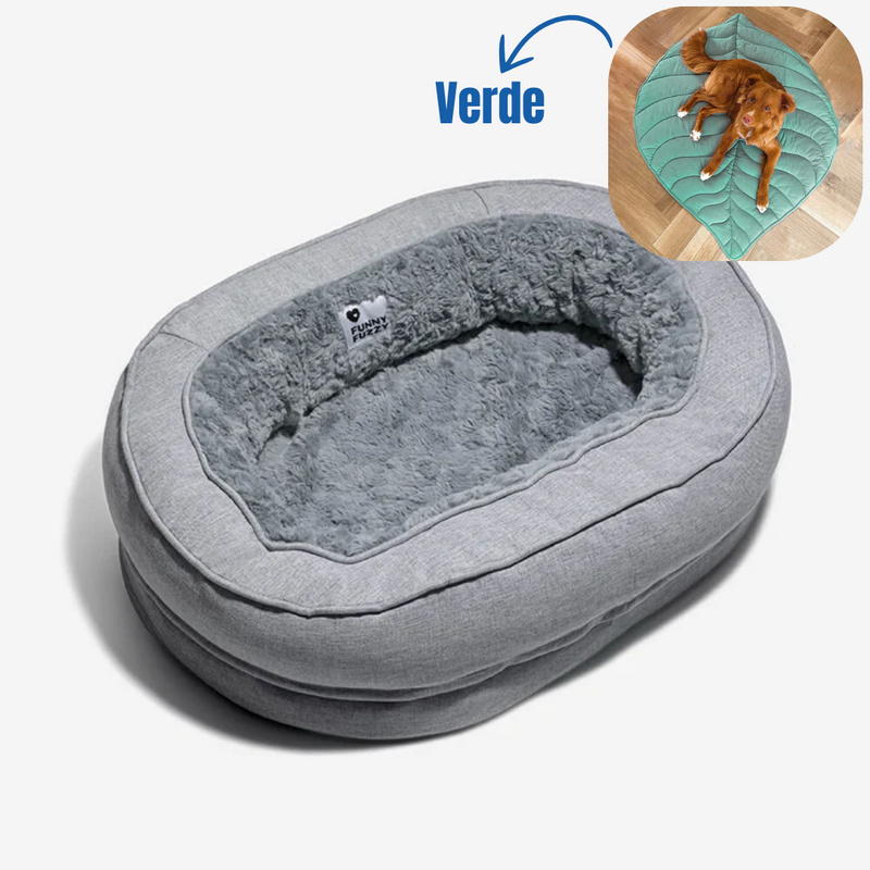 Cama Ortopédica para pet + 1 Brinde Incrível