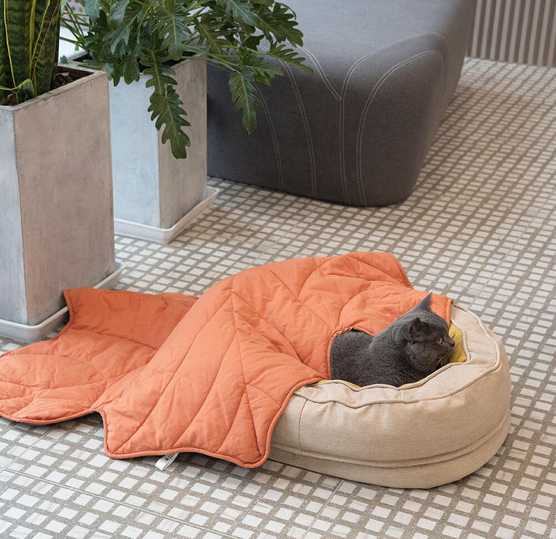 Cama Ortopédica para pet + 1 Brinde Incrível