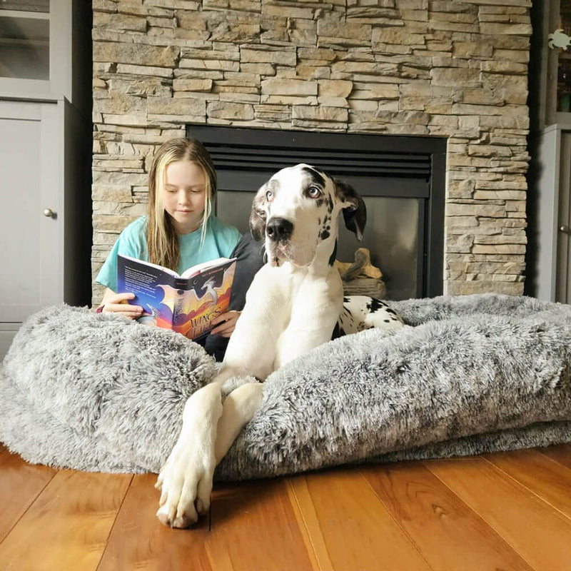 Cama Ortopédica para pet + 1 Brinde Incrível